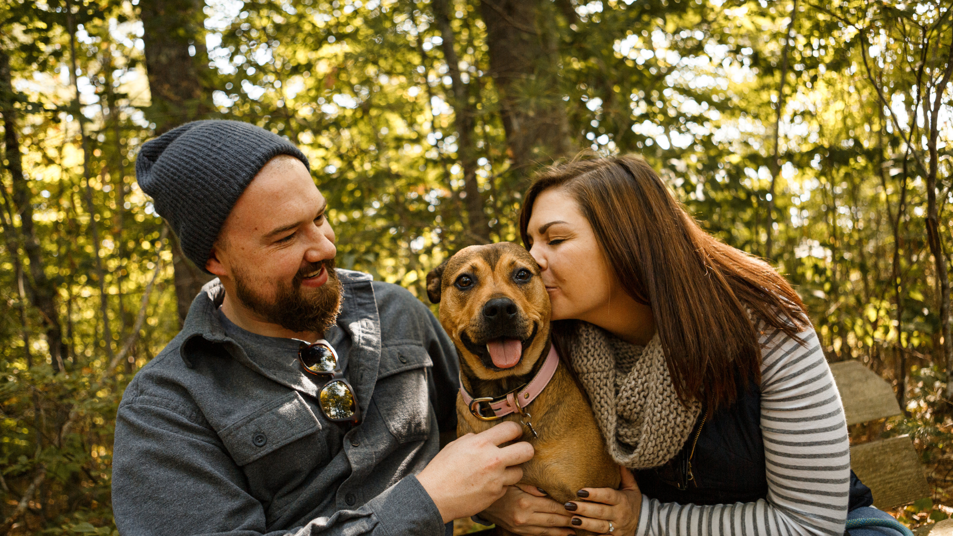 Dog With Family Header